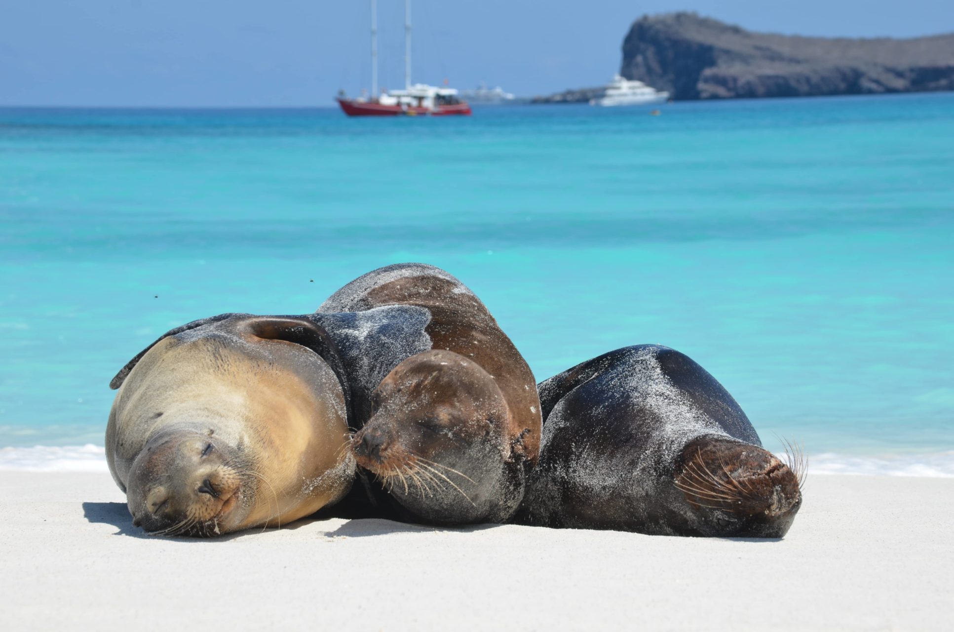 Ecuador and Galapagos Luxury Travel - Your Dream Personalized Tour